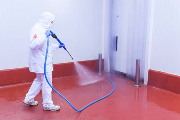 Best Pool Deck Cleaning  in Noroton, CT